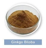 Ginkgo Biloba